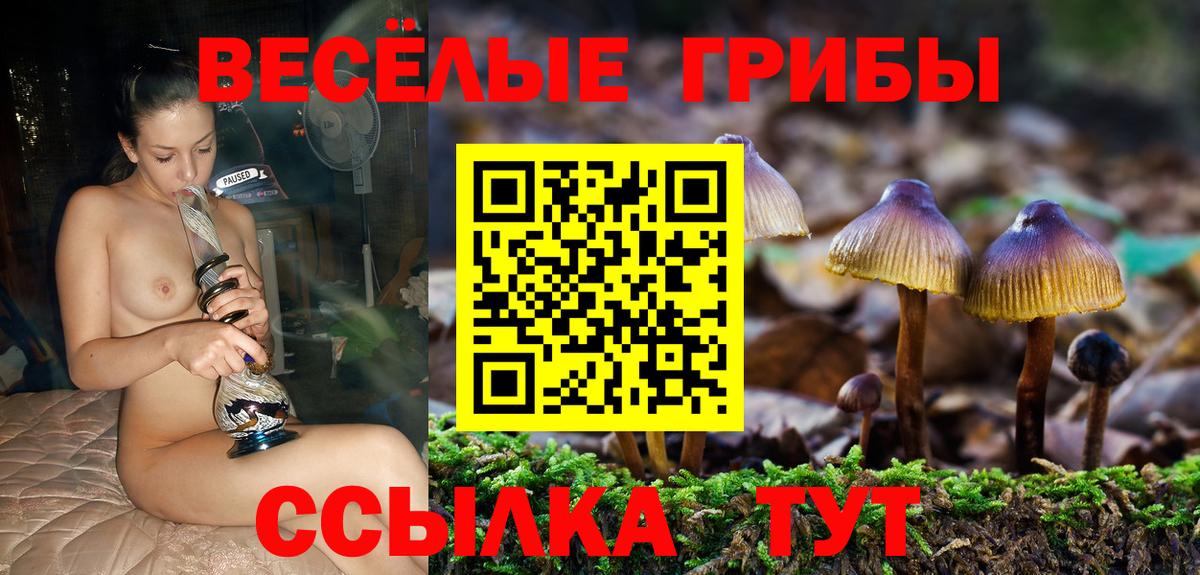 Галлюциногенные грибы мухоморы  Вход с VPN  сколько стоит  Мытищи  Псилоцибиновые грибы мицелий 